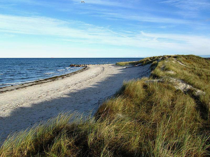 Stylische Ferienwohnung Top Lage Am Hafen, Strand Und Meer Wendtorf Exteriör bild